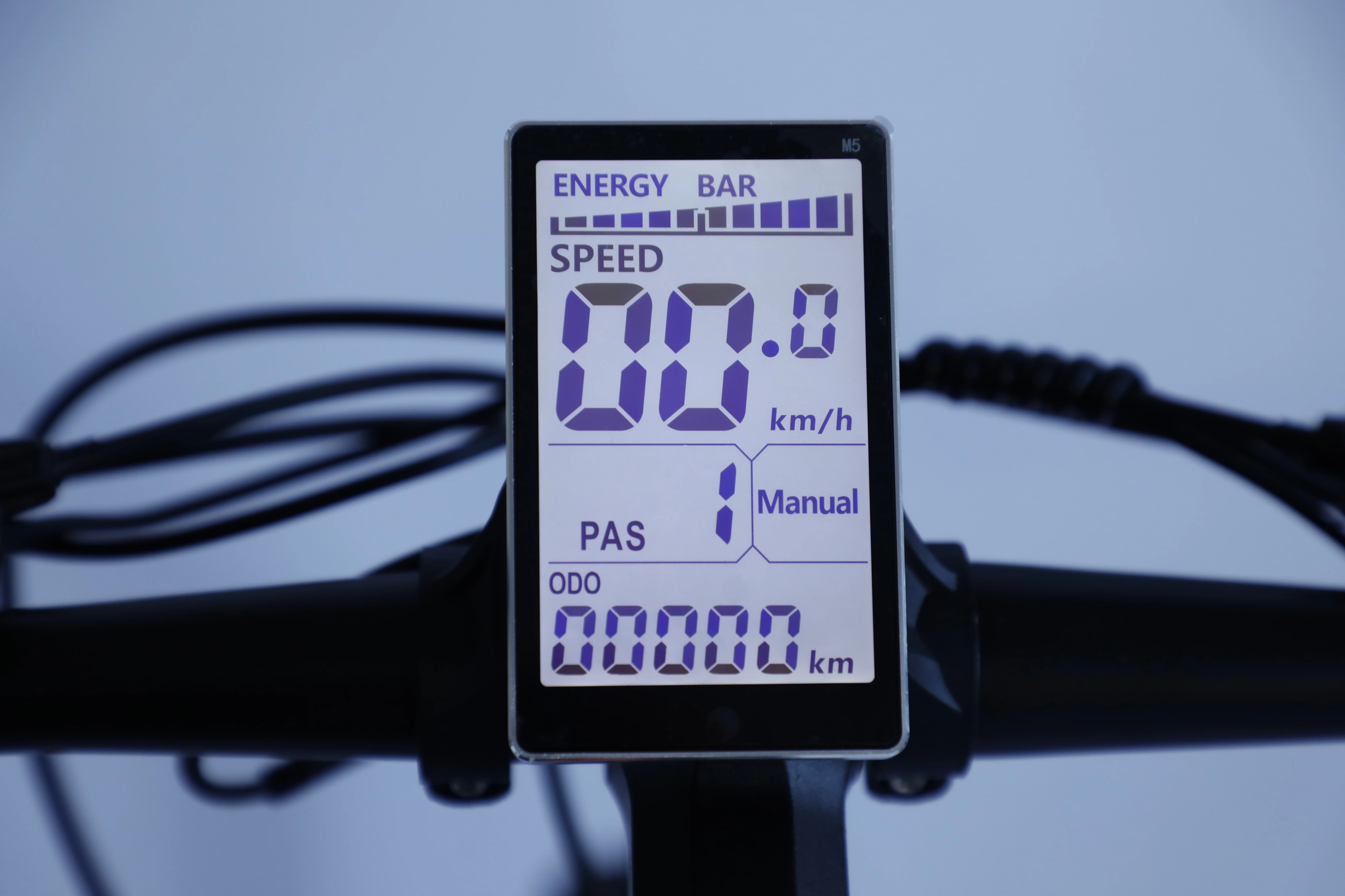 21 Speed 29 Inch Ebike Suspersion Fork Rear Hub Motor Electric Bicycle Mountain Electric Bike