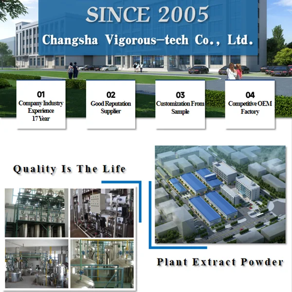 Pure Natural Gold Coin Grass Herb Powder  Lysimachia christine Extract Powder