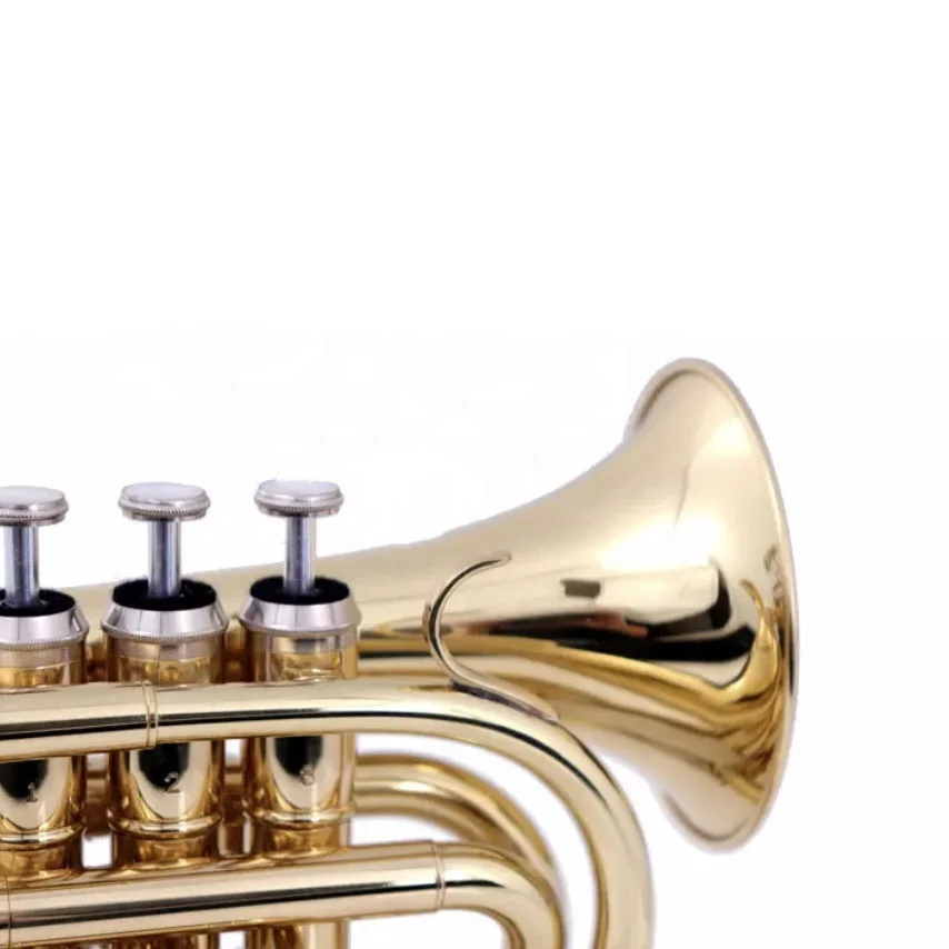 Cheaper price OEM manufacture gold lacquered student model pocket trumpet