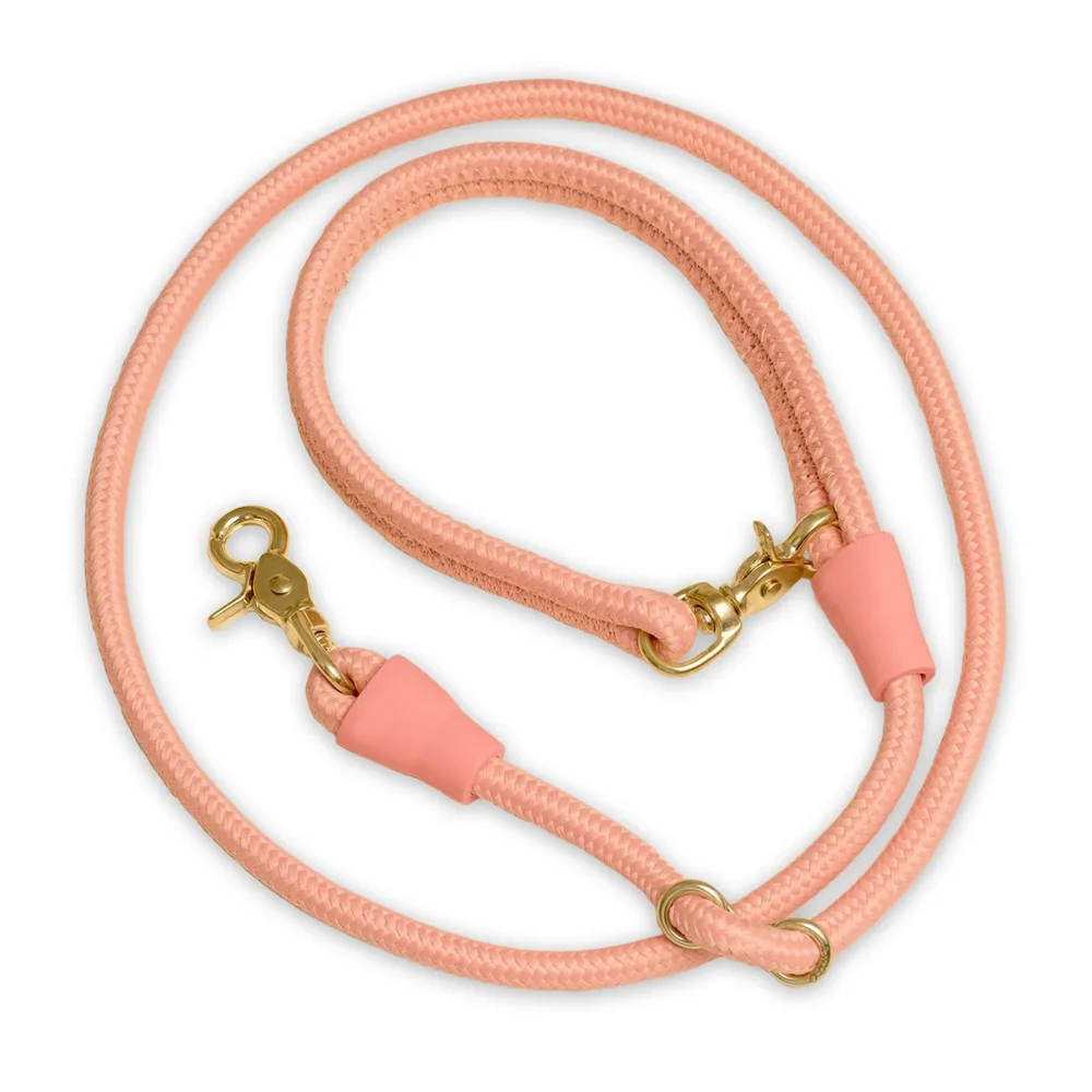 Factory Price Colorful  Nylon Round Rope Leash for Dogs Adjustable  Nylon Slip Rope Dog Leashes Custom ogo