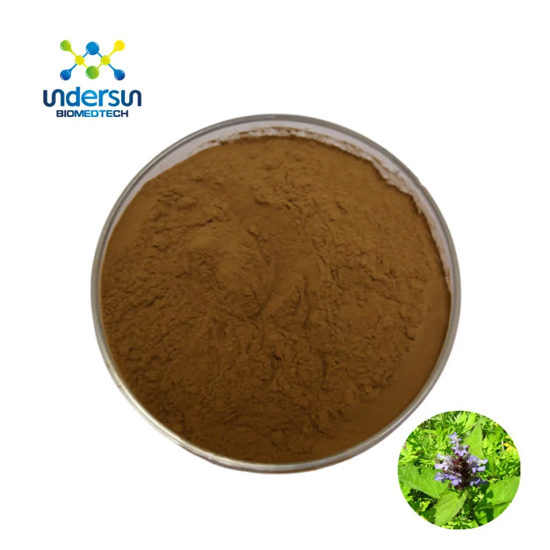 Brown Powder Pure Turkesterone Powder Extract From Ajuga Turkestanica