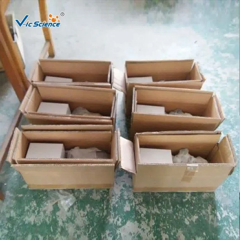 Dental simulator manikin articulator dental oral cavity simulation training simple head teeth model