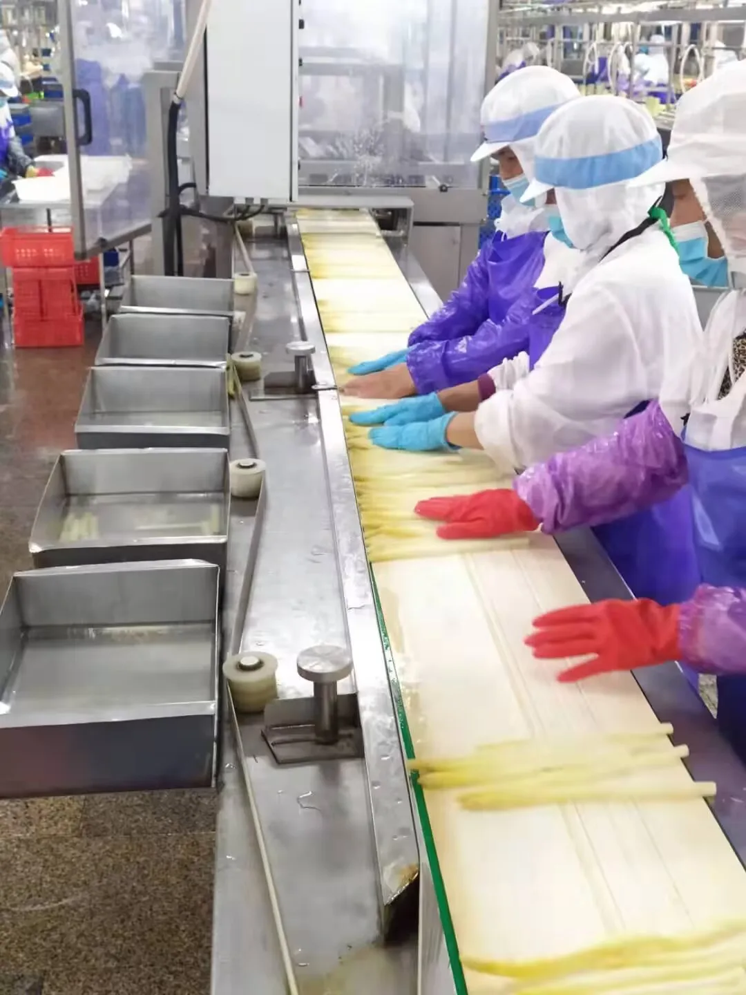 2024 Wholesale  PriceChinese Canned White Asparagus Fresh Material in Glass Jar in Brine Jar Wholesale