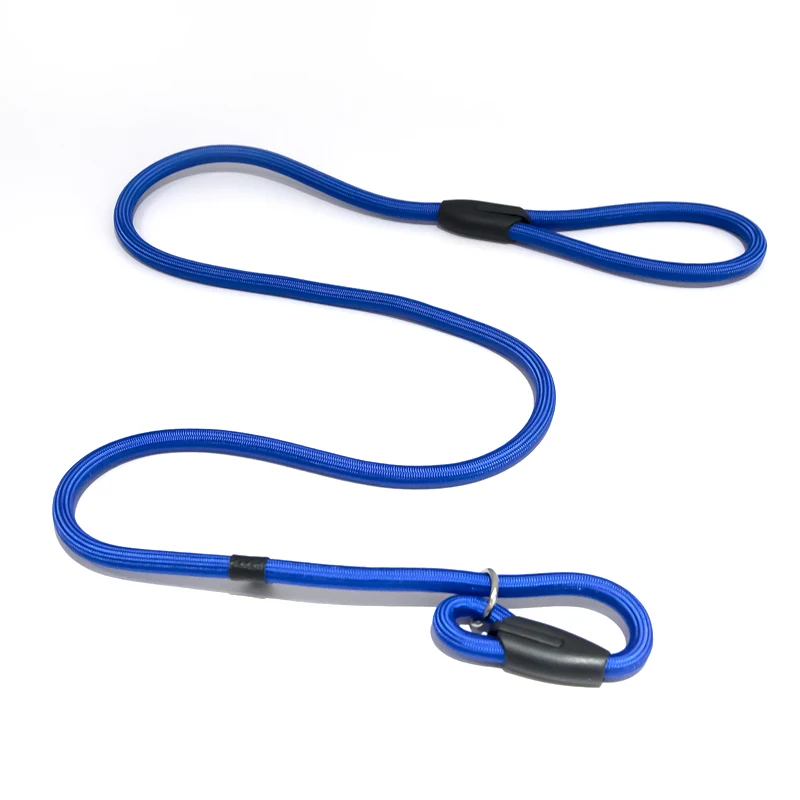 Waterproof British-style Slip Lead Rope Dog Leash No Pull Training Rope Lead Leashes