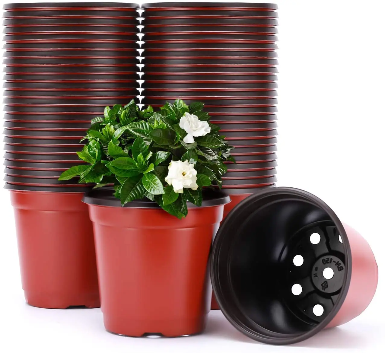 Wholesales Price Multiple Sizes Plant Nursery Pots Home Garden Transplant Plastic Flower Pot