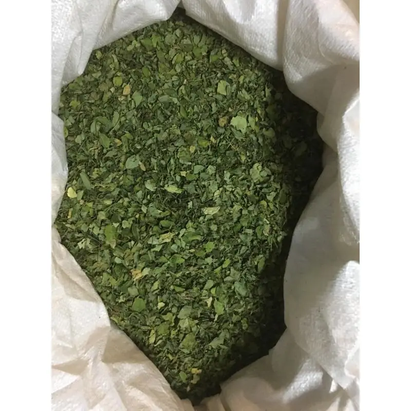 Сушеные Листья Moringa с высокой прокуркой оригинальное качество CHOLA SUPERFOODS экономичная CSF/MDLN/2022-2023