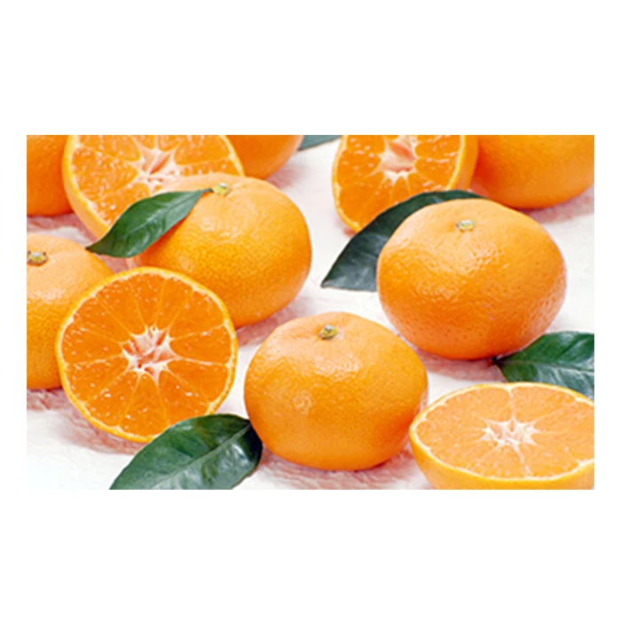 Japanese wholesale bulk instant juicy juice fruit with good quality