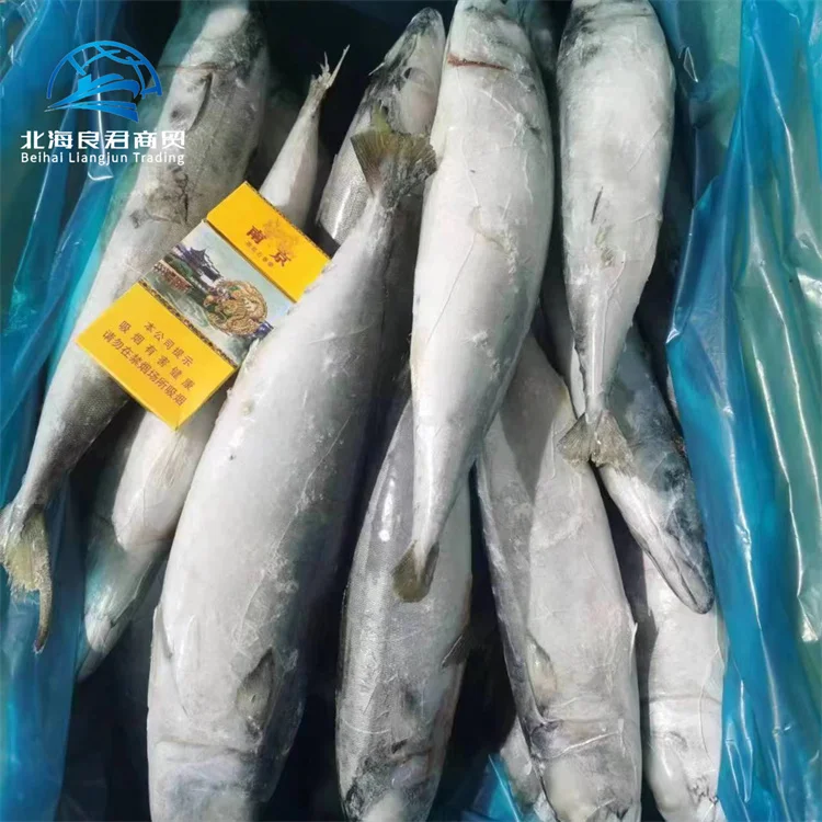 Хорошее качество 100-200 г свежих морепродуктов индийская популярная скумбрия целая круглая замороженная Тихоокеанская