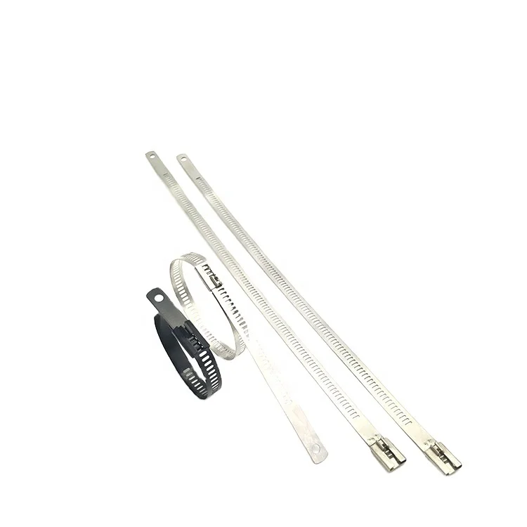 2023 201 304 316 manufacturer direct sale of Naked SS Cable Ties-Ladder Multi Barb Lock Type
