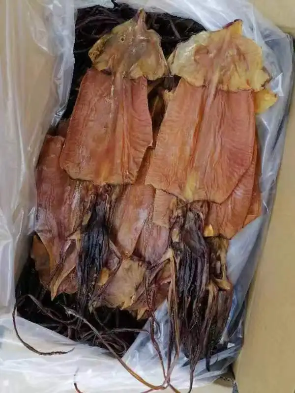 dried dosidicus gigas squid Factory price skin off dried squid
