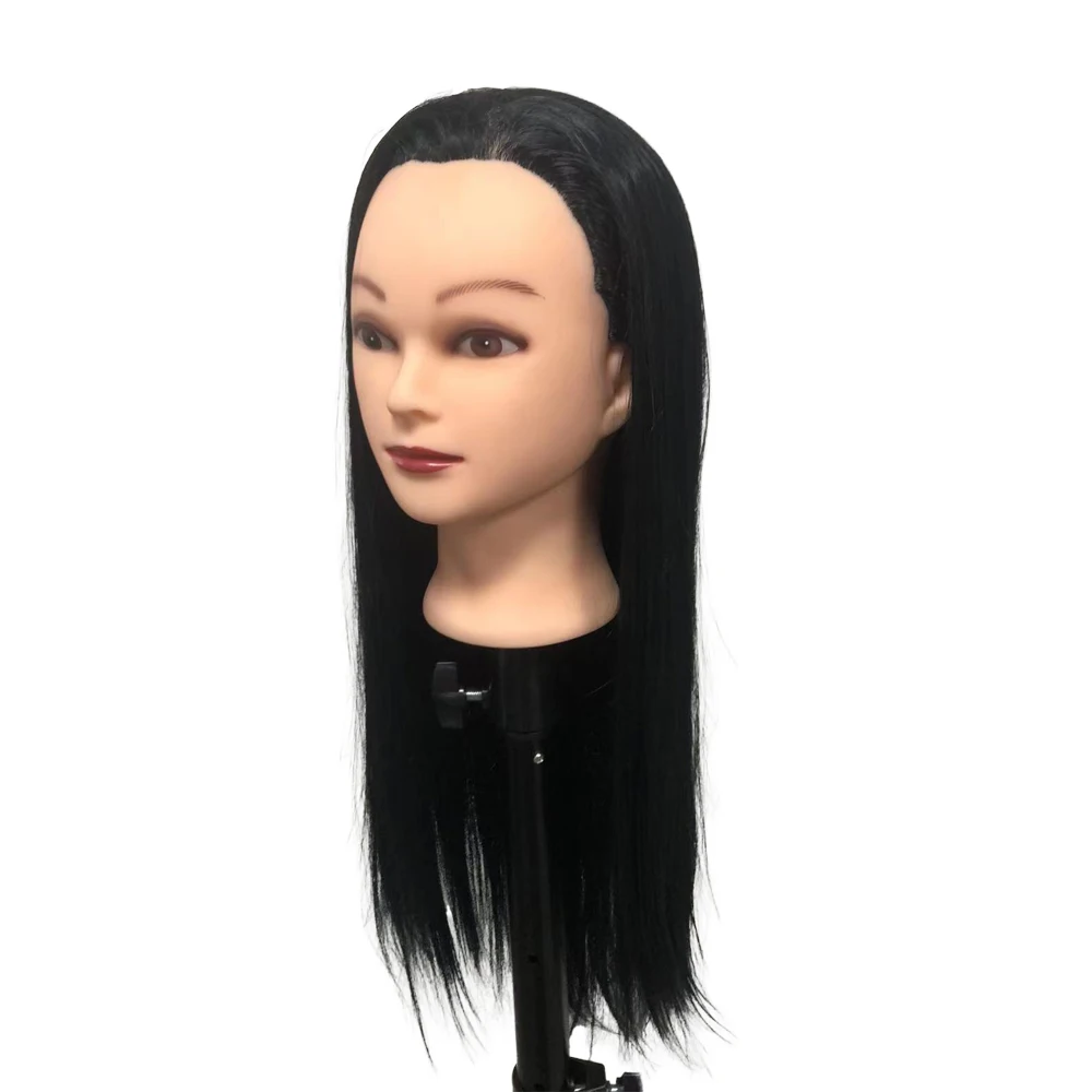 ML Teaching Head Model Training Head Model for Hairdressing  Head Model with Hair