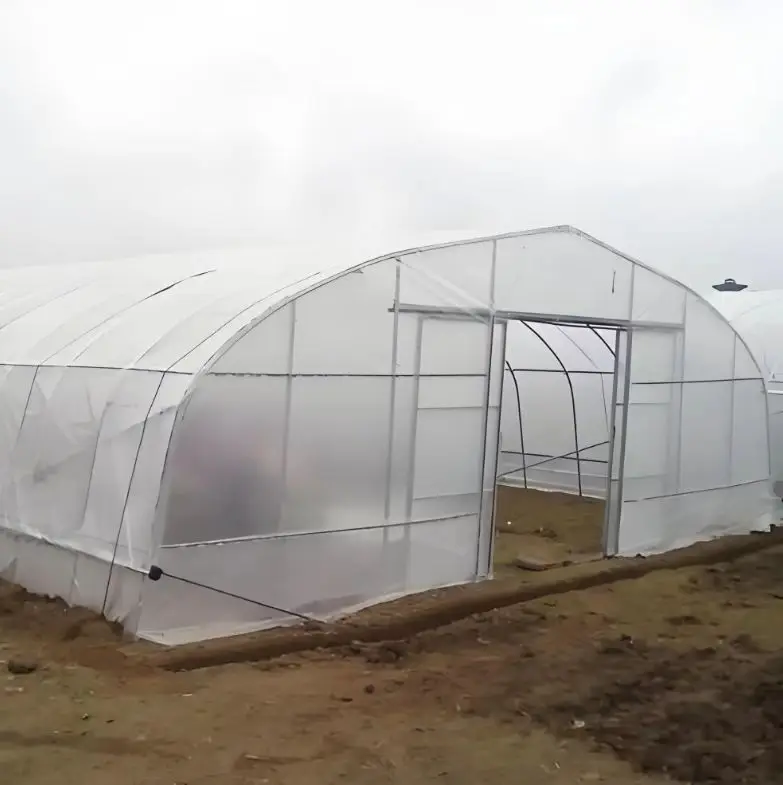 High Quality Sturdy and Stable Single Span Membrane Greenhouse Large Complete Set with Film and Steel Material for Plant Usage