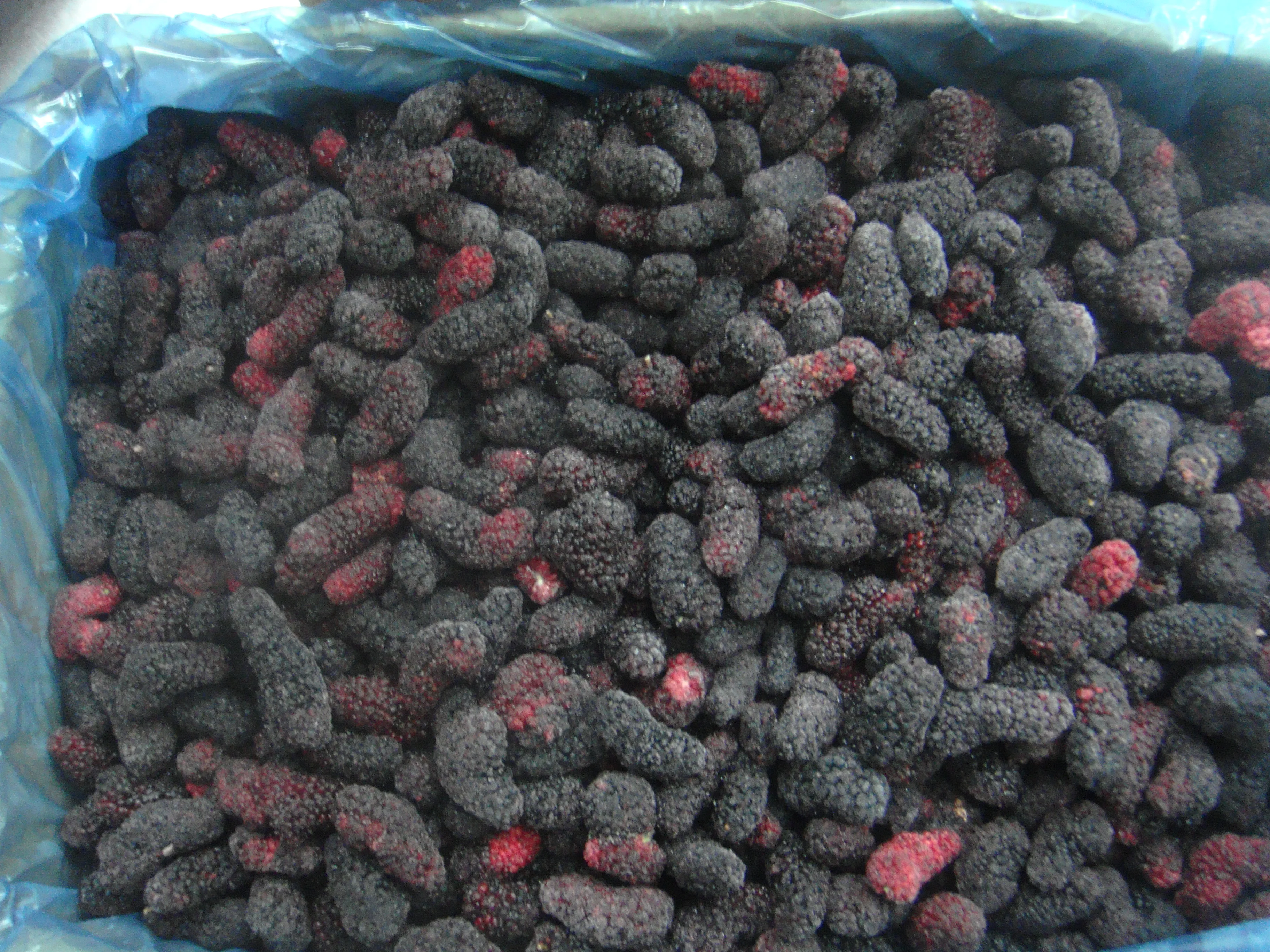Hot Selling Frozen Fruits Frozen Mulberries IQF Mulberries Frozen Black Mulberry