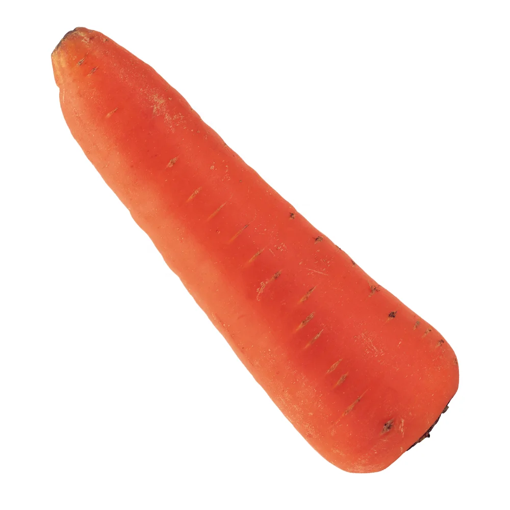 Wholesale carrots price fresh price per ton from China