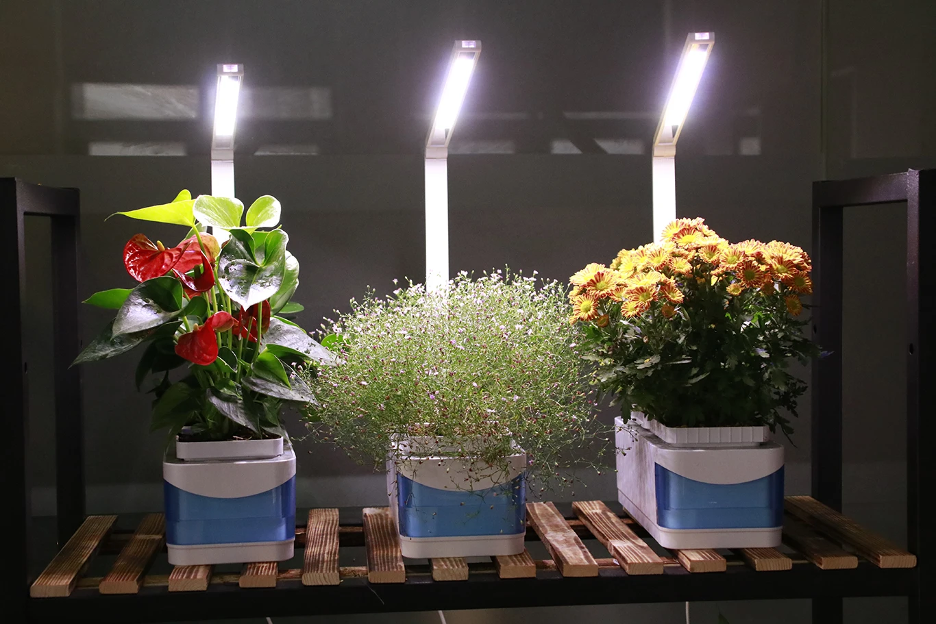 Flower Pot for Garden Plant Smart Indoor and Grow Smart Garden