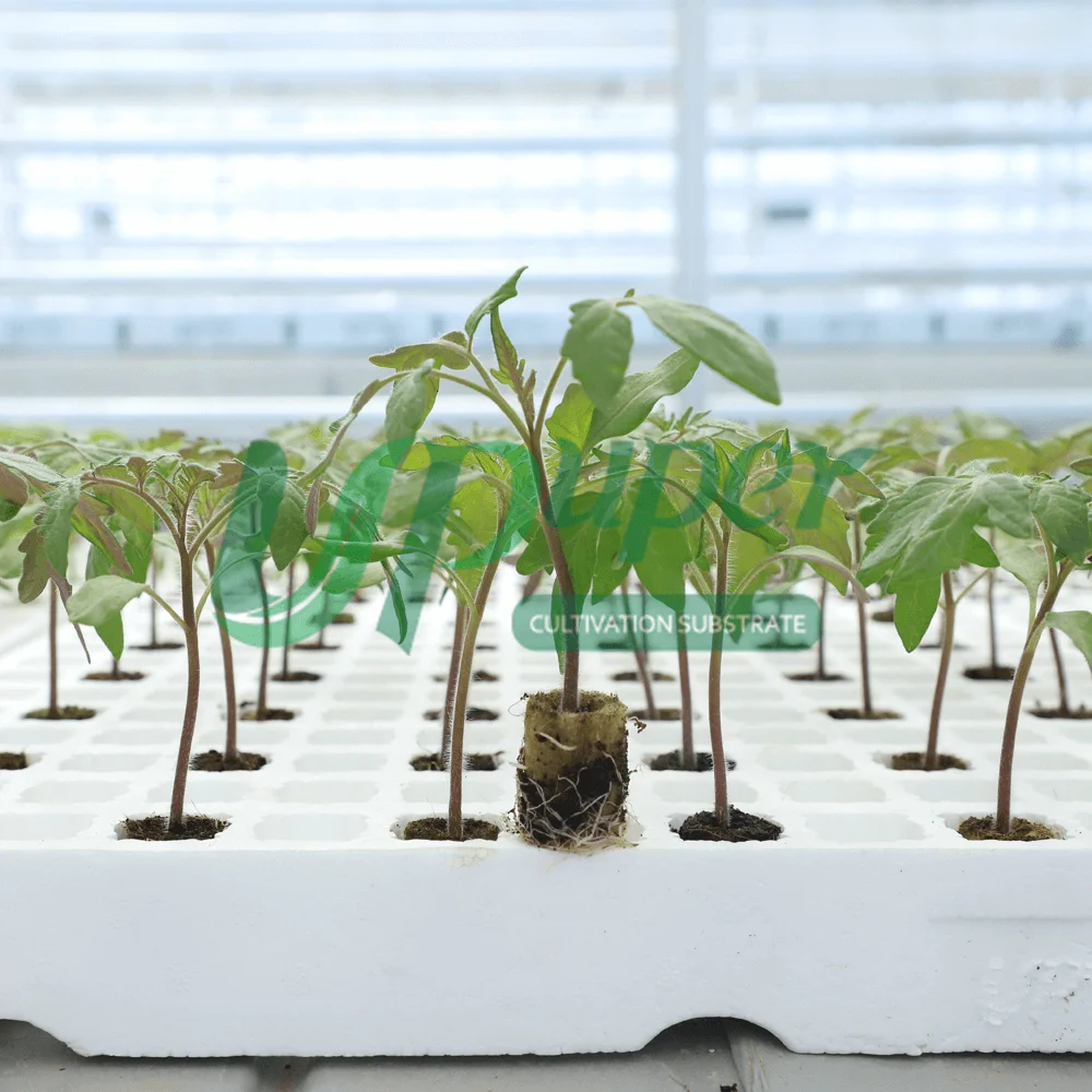 UPuper automatic seedling greenhouse pre-filled in foam seed starting tray round rock wool plugs