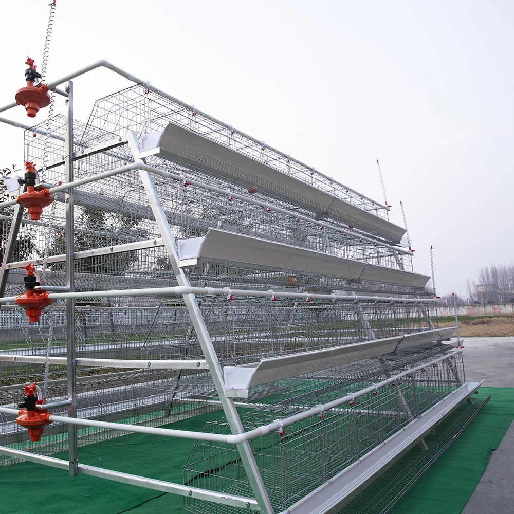 China Factory a Type Laying Hens Battery Chicken Cage With Chicken House