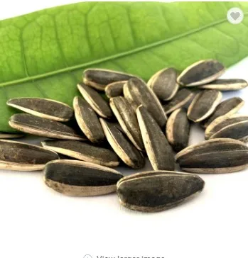 Manufacturer roasted and salted sunflower seeds sunflower roasted seed