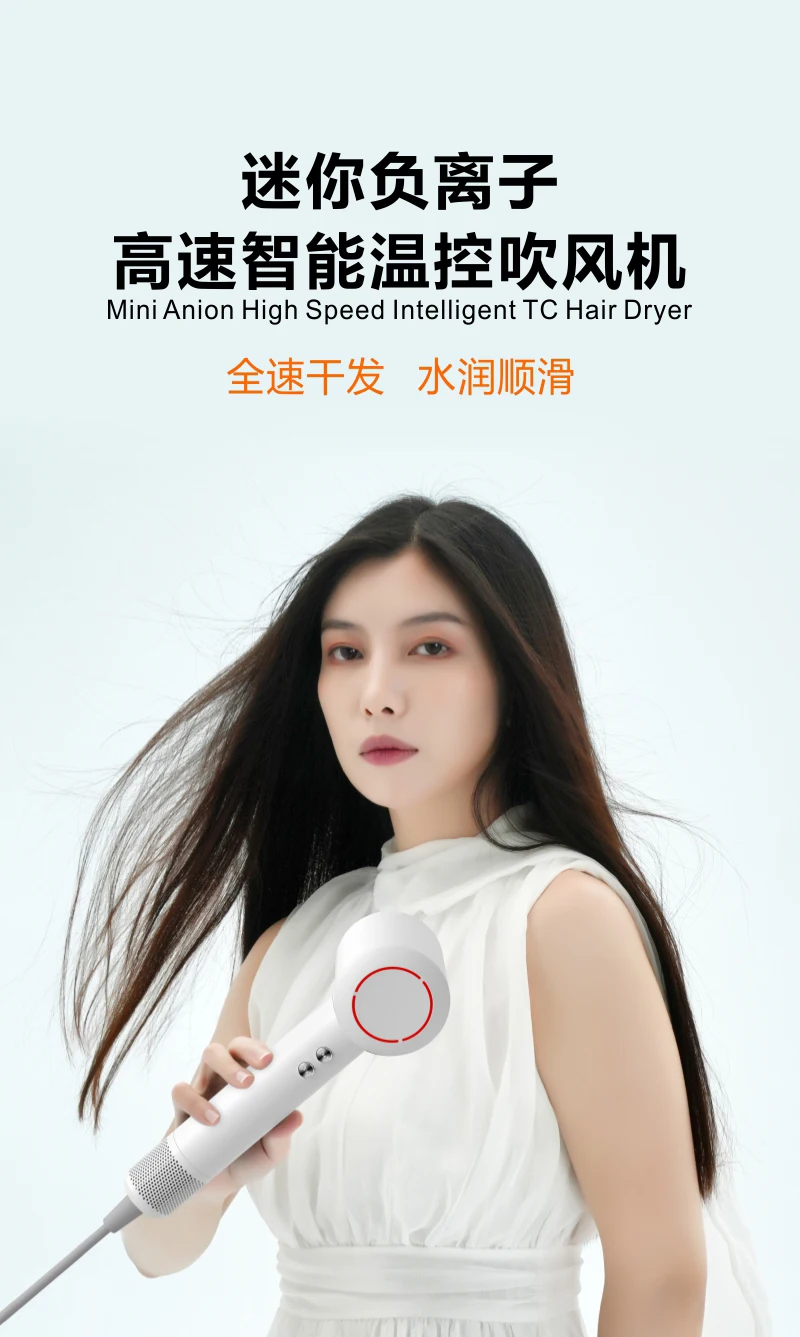 PLUZZ  New Ionic Hair Dryer 1650w  Blow Dryer Low Noise High Speed Electric Professional  Care Hair Dryer  H OEM/ODM