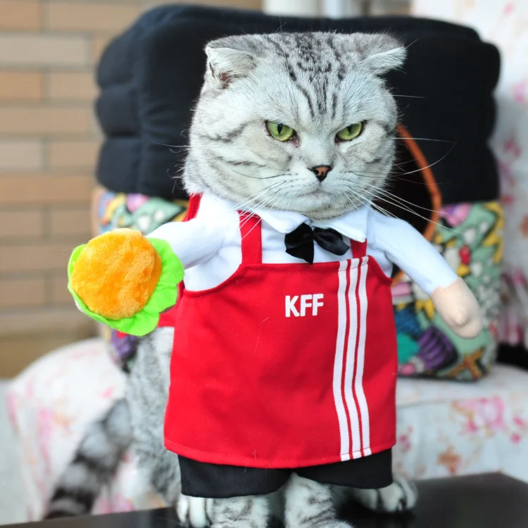 Cowboy Pirate Dog Costume with Hat Dog Clothes Halloween Costumes for Cat and Small Dog Cosplay Holiday Pet Clothes