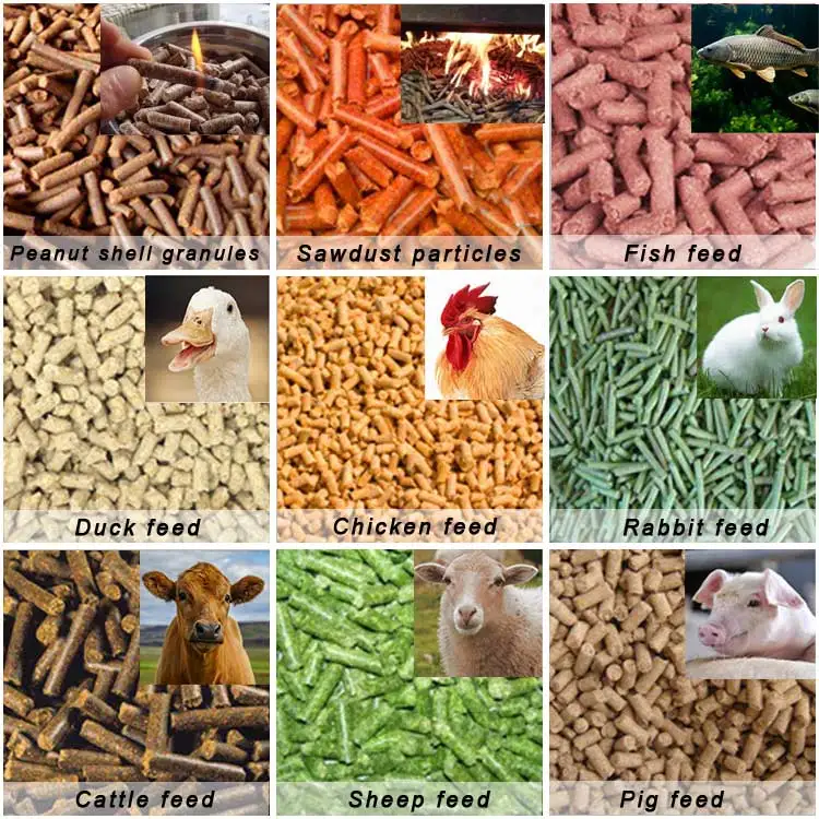 Young Bamboo Feed Pellet Granulator Machine Animal Feed Pellet Milling Machine For Chicken Pig Rabbit Food