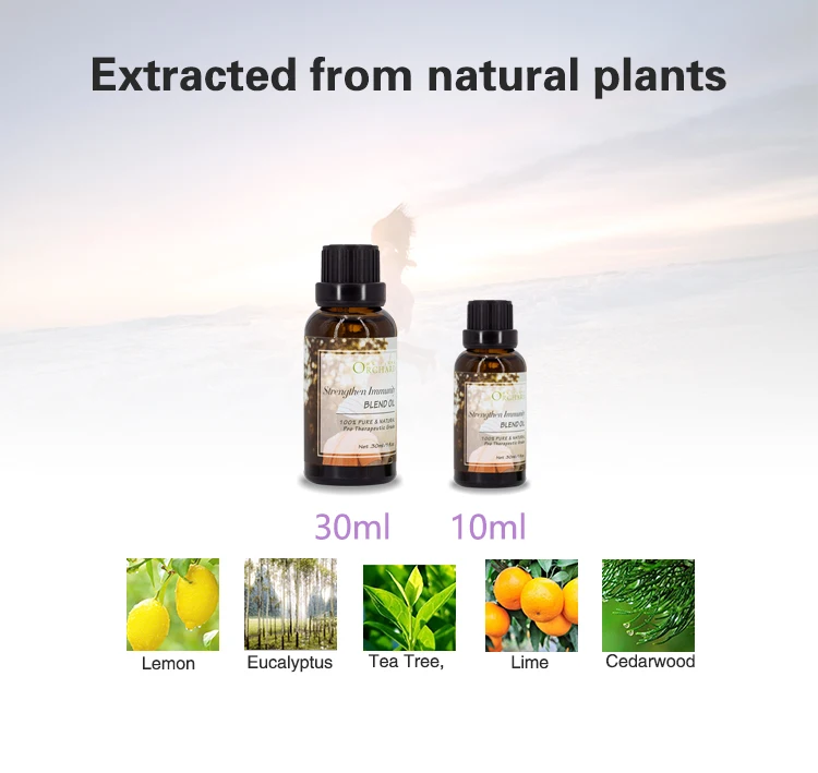 
Strengthen Immunity Blend Essential Oils in 10ml fresh smell ORCHARD brand low MOQ 