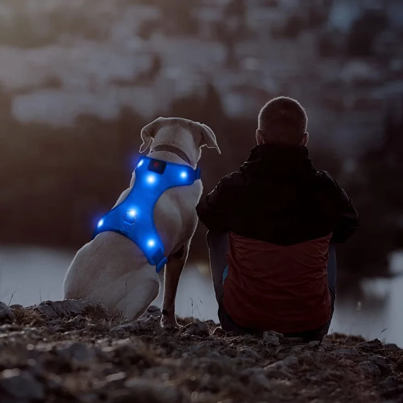 USB Rechargeable Reflective Dog Vest No Pull Led Dog Harness