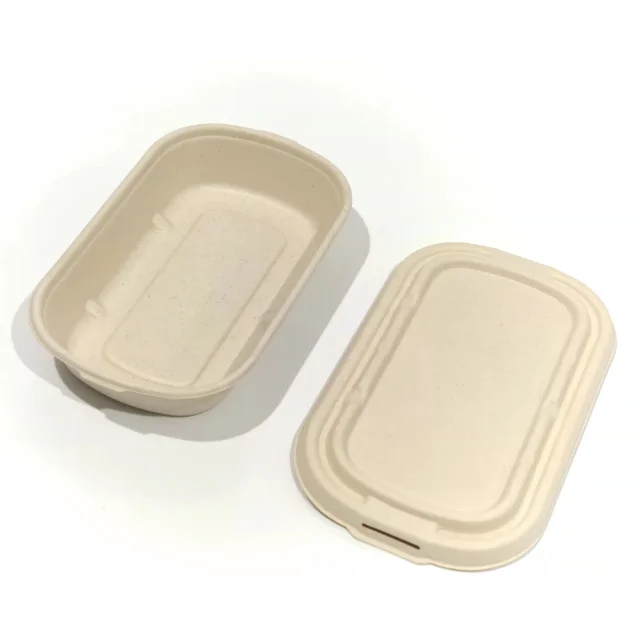 Biodegradable Disposable Recyclable Pulp 6 Compartment Sugarcane Bagasse Fast Food Container Tray