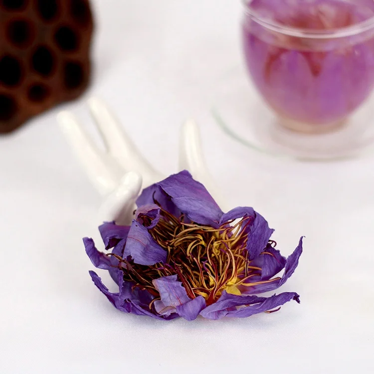 Nelumbo Nucifera Египет голубая водяная Лилия сушеный синий цветок лотоса
