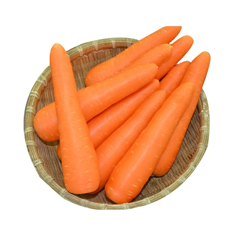 Good Quality Red Fresh Carrot from Gansu CIF FOB CNF Newest Crop Crispy Sweet Mesh Bag Healthy 28tons 10 Kg 18 Cm Long