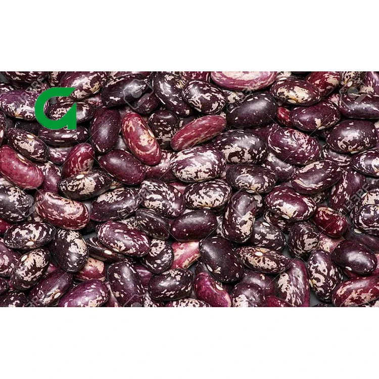 
Long Red Wholesale Kidney Beans Purple Speckled Kidney Beans 