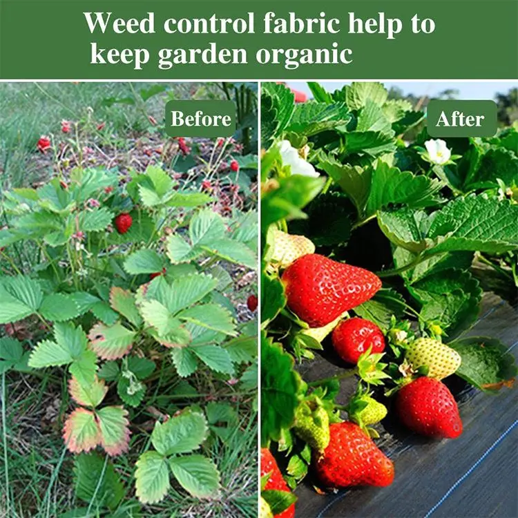 Woven Block Mat Fabric Cloth Barrier Non Woven Mat For Agricultural Ground Cover