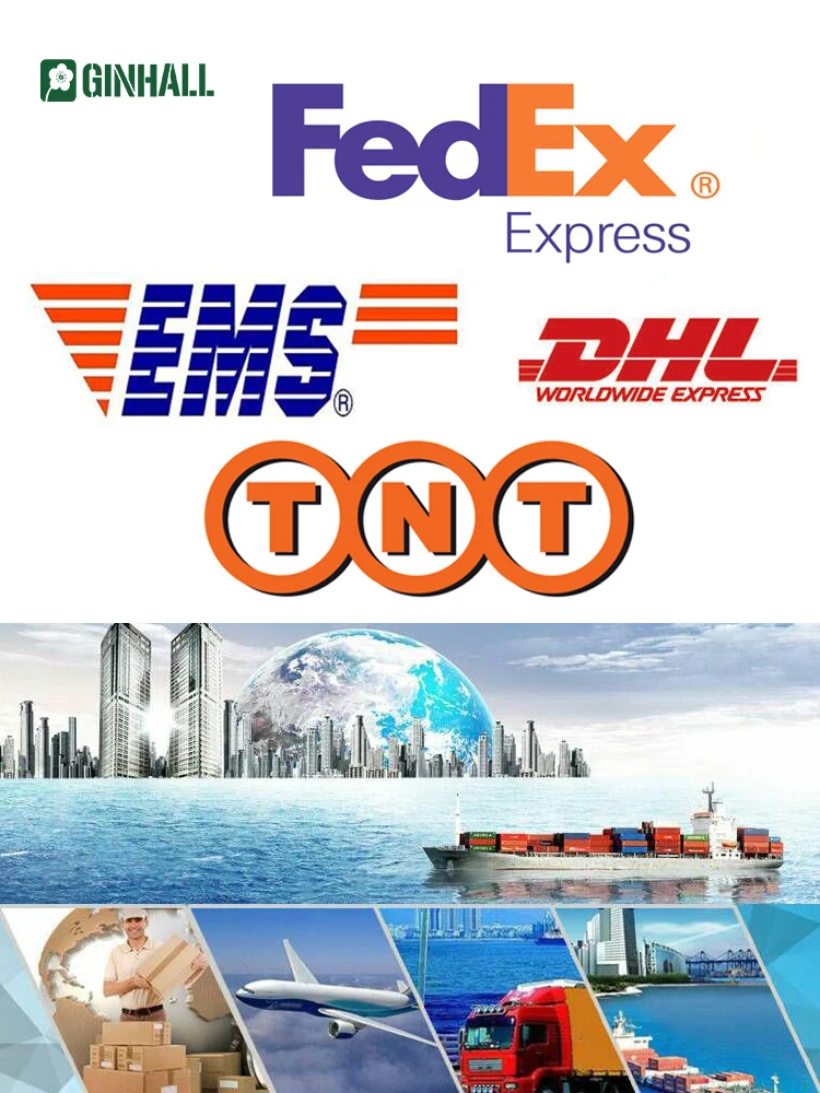 
Premium quality 10:1 ginkgo biloba, ginkgo biloba extract 