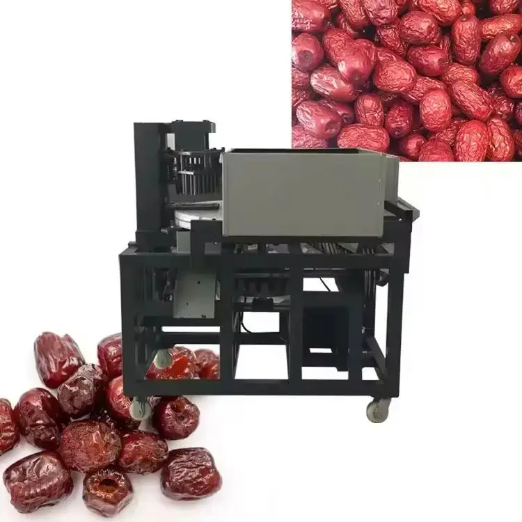 Industrial Olive Pit Pitter Pitting  date seeds remove machine jujube Plum Peach Prune Dried Apricot Core Cutting Remover