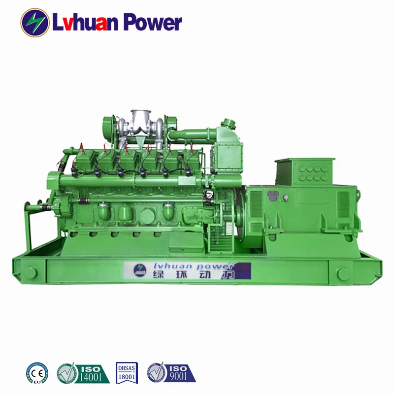 1mw Biogas Generator set Price  CE ISO