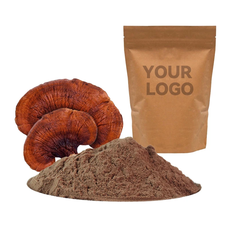 10:1 30:1 Reishi Mushroom Extract Powder Ganoderma Lucidum Powder Reishi Dual Mushroom Extract Powder