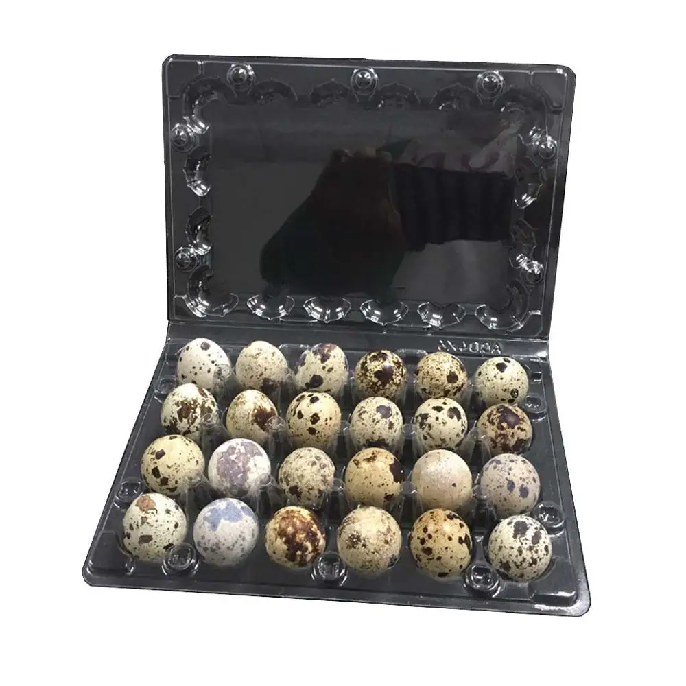 24 caves quail egg tray