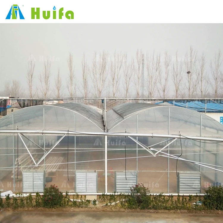 Commercial Low Cost Green House Smart Vertical Farming Agricultural Greenhouse For Vegetables Plants