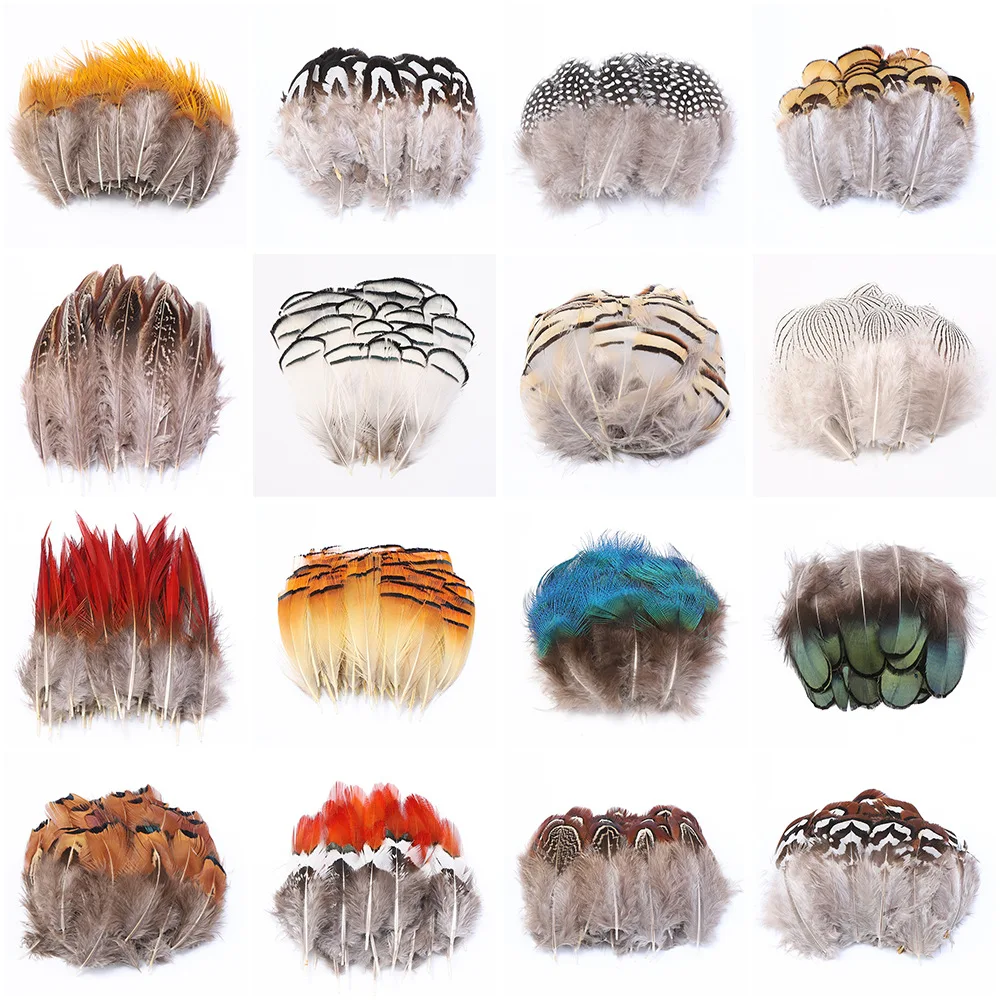 Natural Feathers Assorted Mixed Feathers for Jewelry and Dream Catcher Crafts