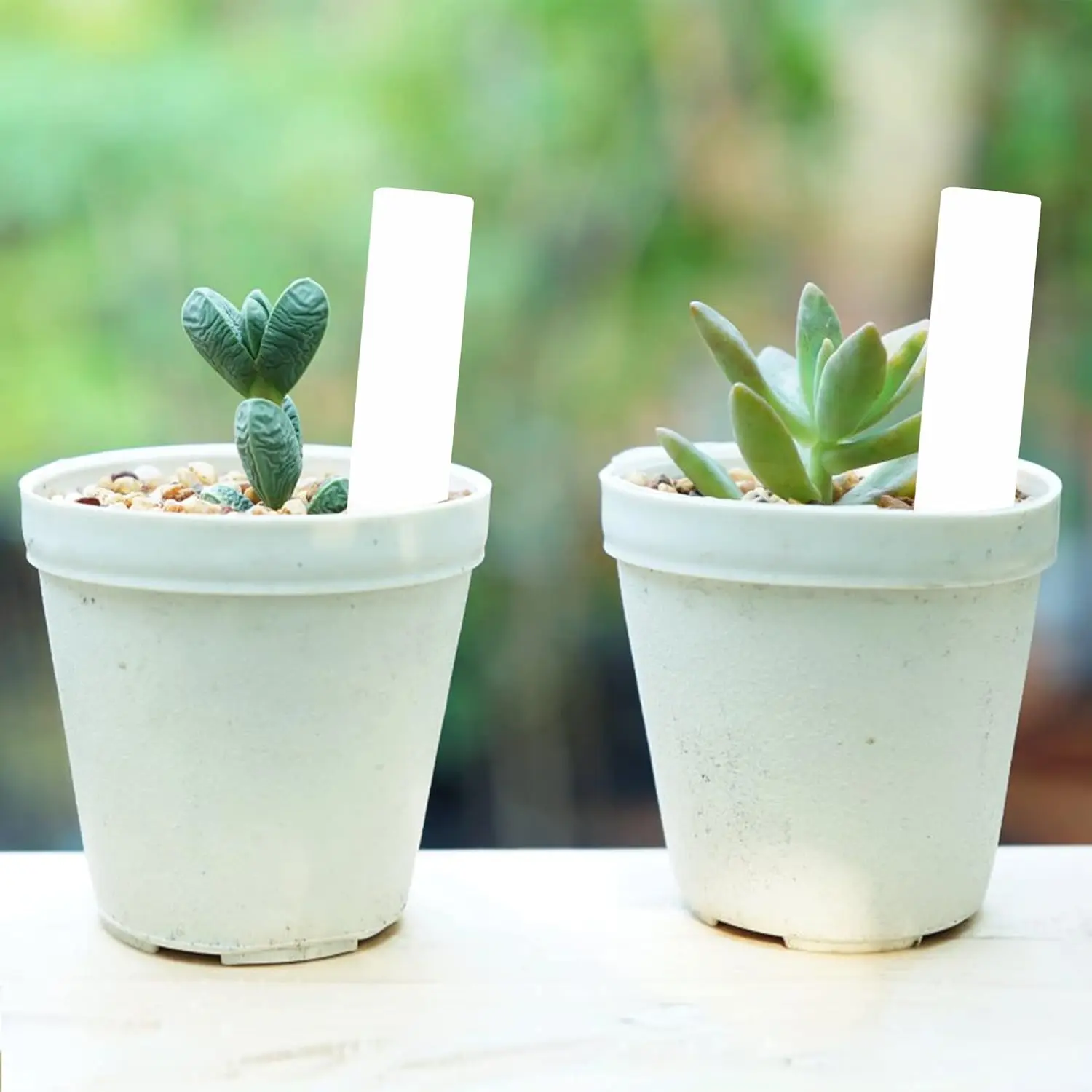 White Color Outdoor Garden Labels Waterproof Plastic Plant Labels Plant Name Tags Planting Sticks for Seeds