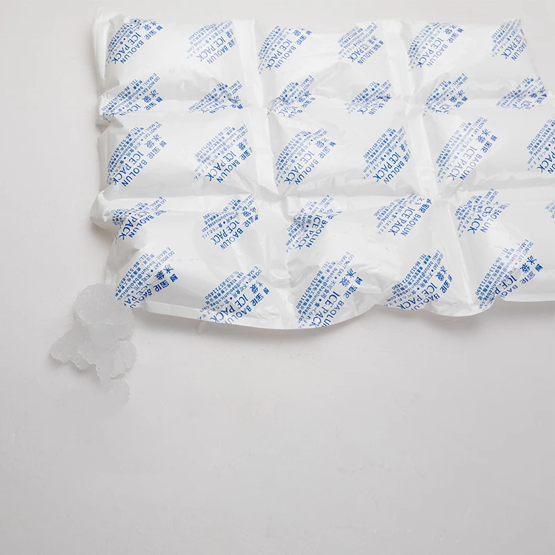 BSG 390*290mm 9pcs in one  Frozen Food Fresh Keep Dry Ice Pack One Piece 24 Cells Ice Cube Bags