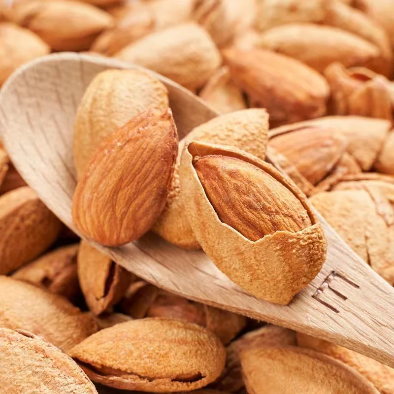 China Cheap Price Roasted Almond in Shell