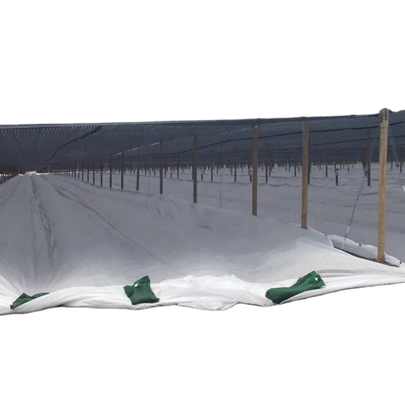 biodegradable plastic mulch banana bunch cover banana cover bag