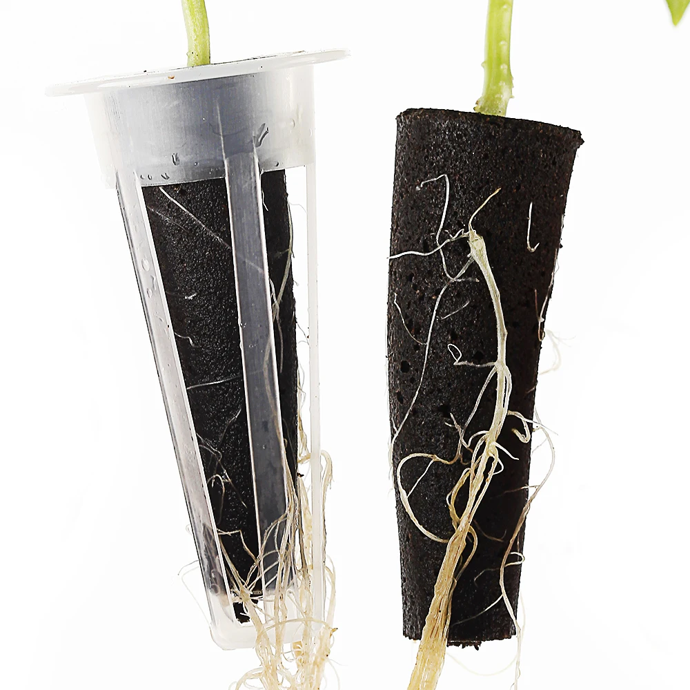 20 hole three-layer seedling pot with cover suitable for soilless hydroponic planting substrate