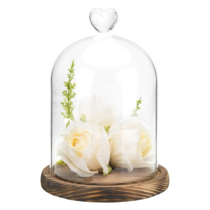 Clear Glass Cloche Bell Jar Cloche Bell Jar Display Dome Case with Wooden Base for flowers