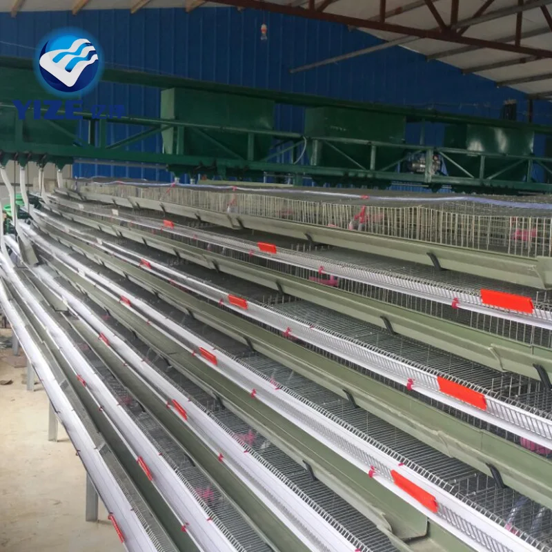 Fully automatic quail farm quail cages and equipment 6layer for sale
