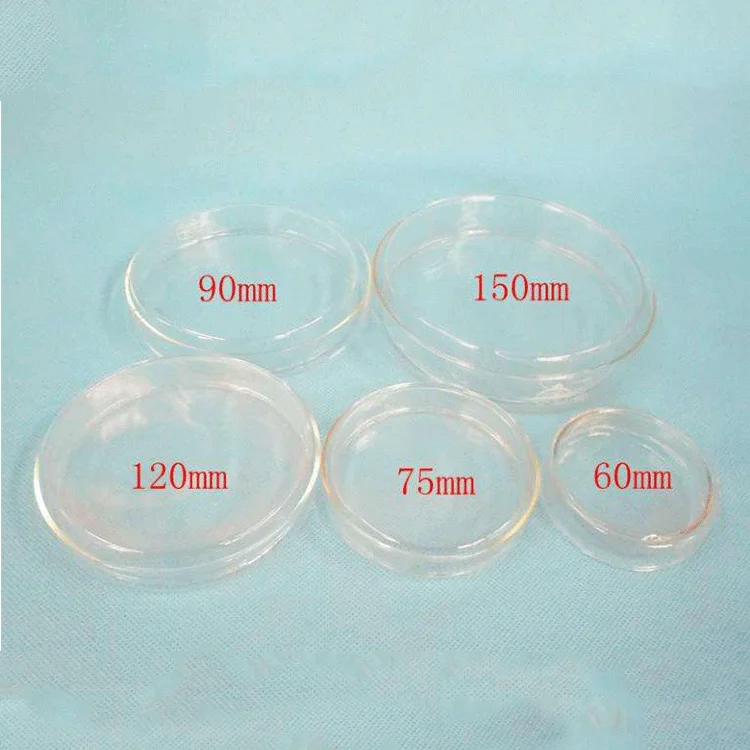 
Multiple Specifications Customized Portable Transparent Color Petri Dishes Glass Material Dishes 