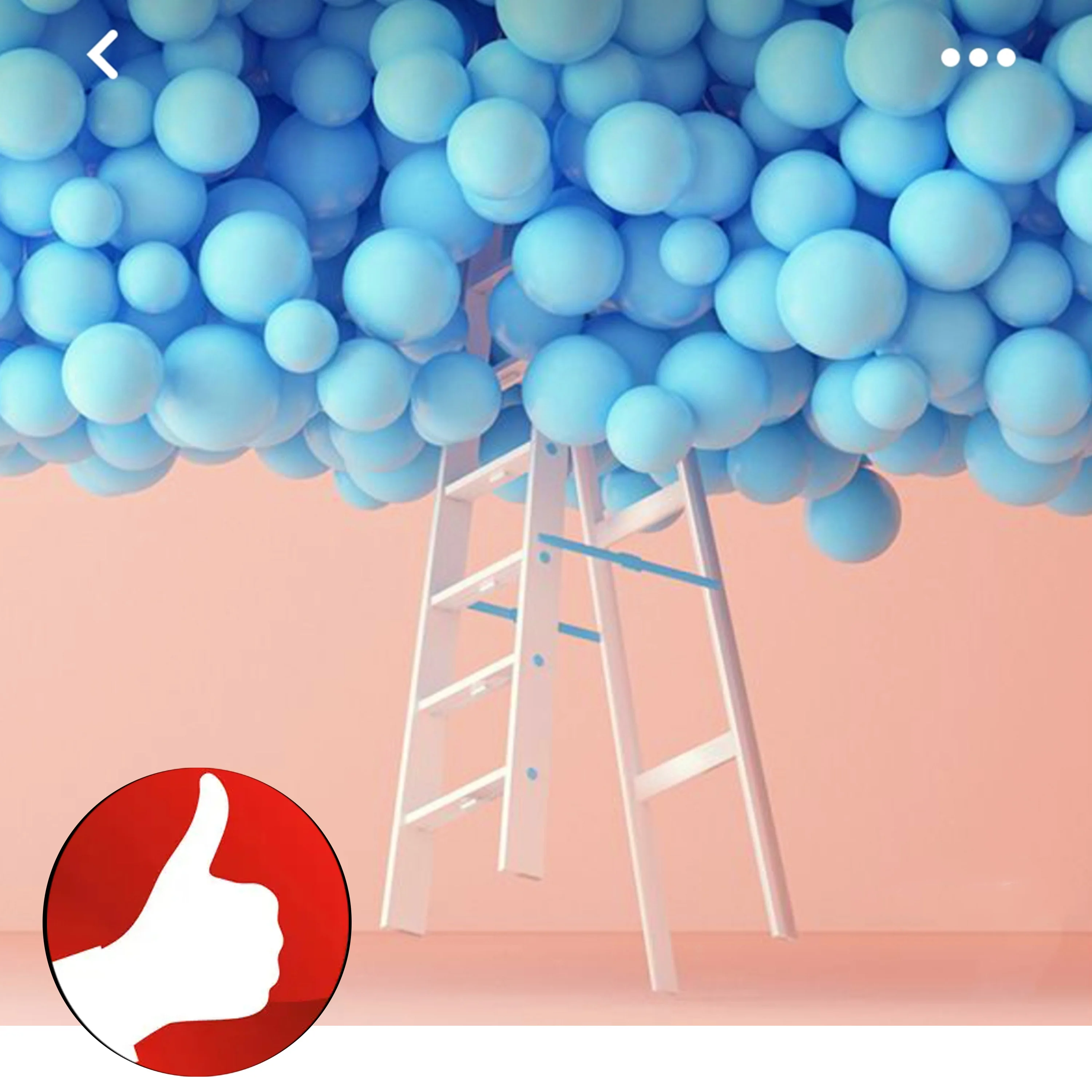 sawme,Amazon professional photography service,balloom arch,phone case,garden buildings,white background,original image,raw,web