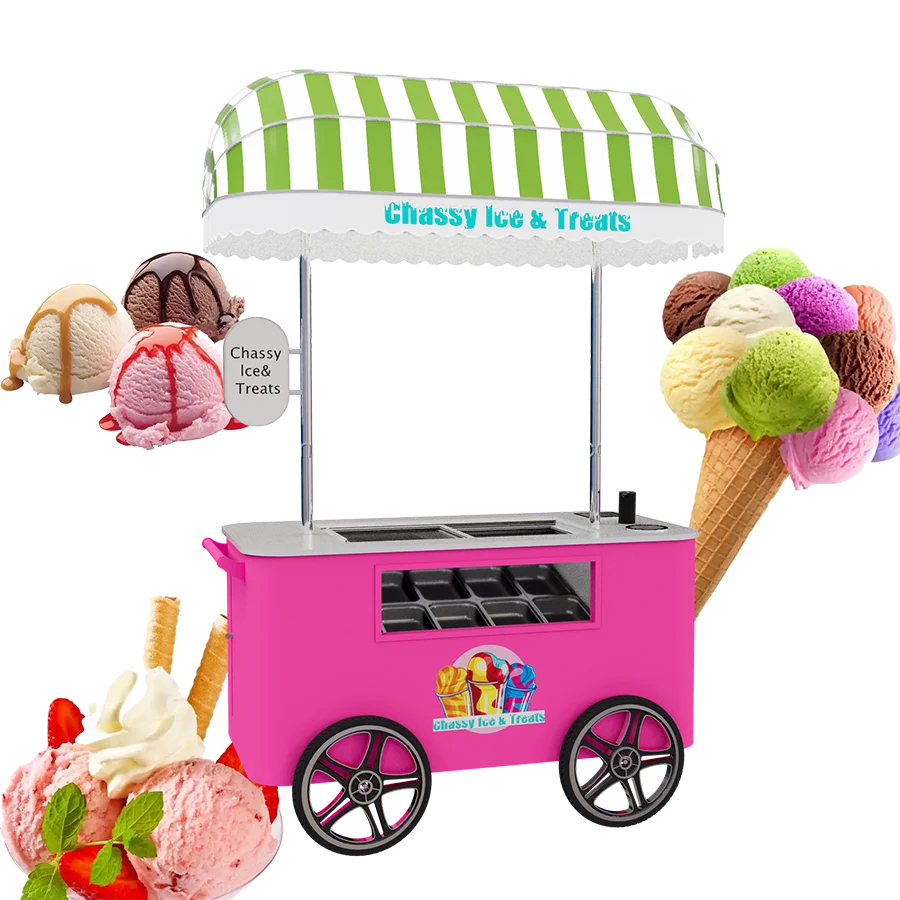 China Factory ODM OEM Stainless Concession Fully Equipped Food Trailer USA Kiosk Shopping Mall Mobile Fast Food Truck