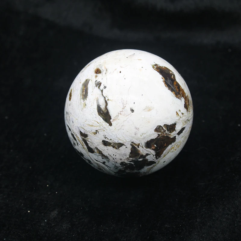Natural Quartz Ball Patterned Wood Fossil Mineral Spheres For Decoration Fossil Wood Balls